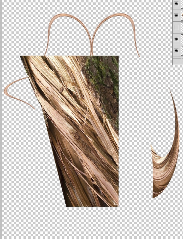 Creation of Zodiac: Step 5